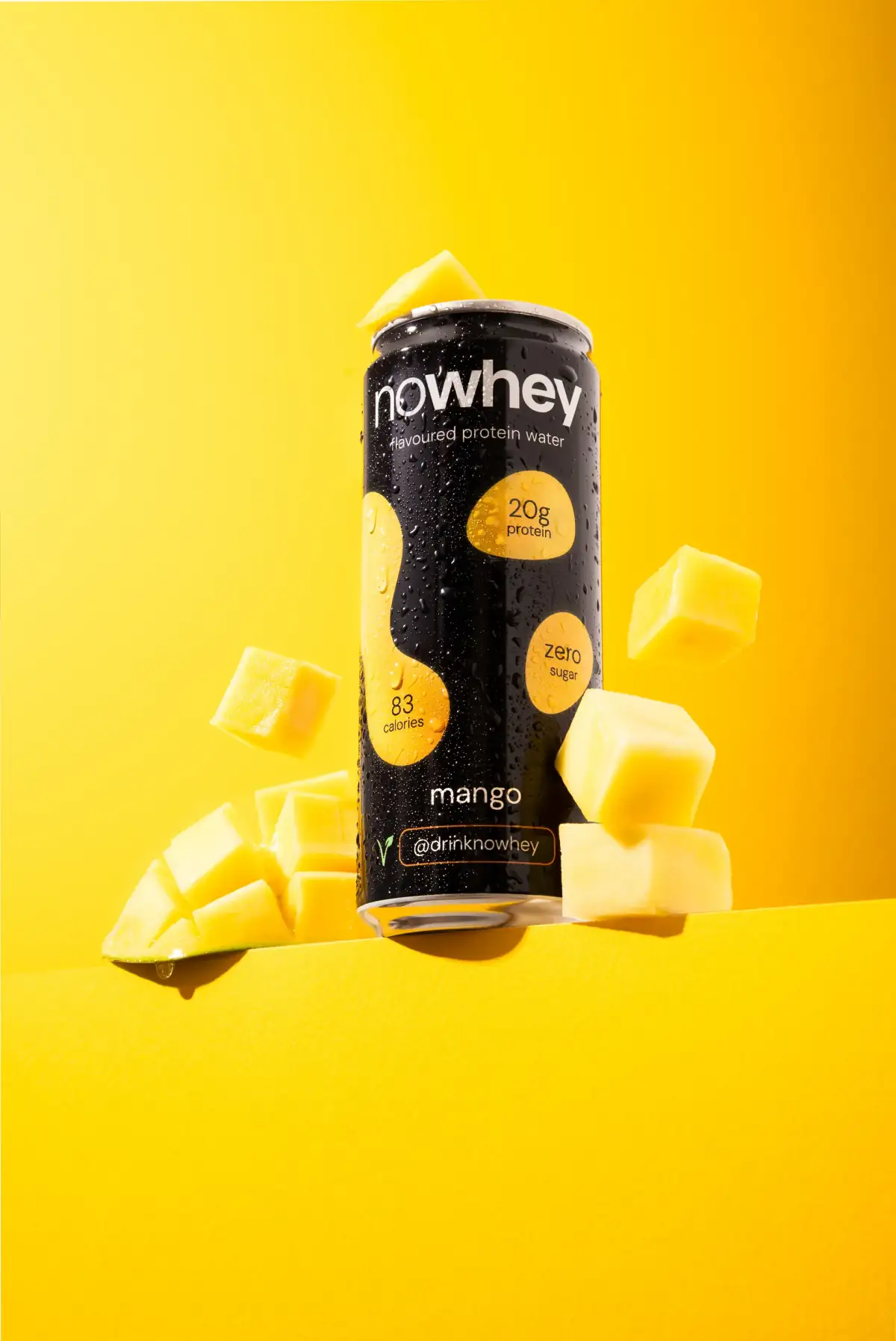 Nowhey project — IMG 6336 2