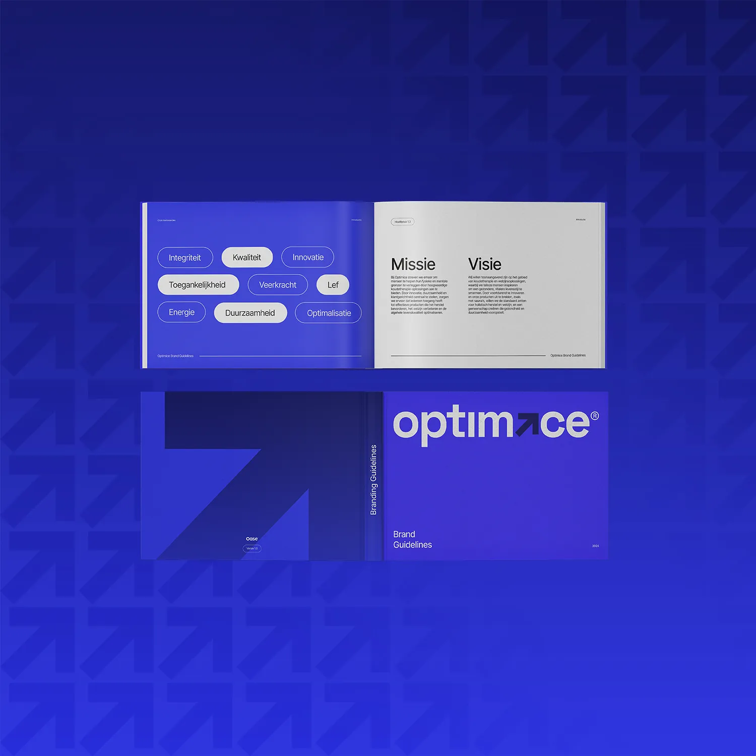 Optimice project — Optimice Project 1