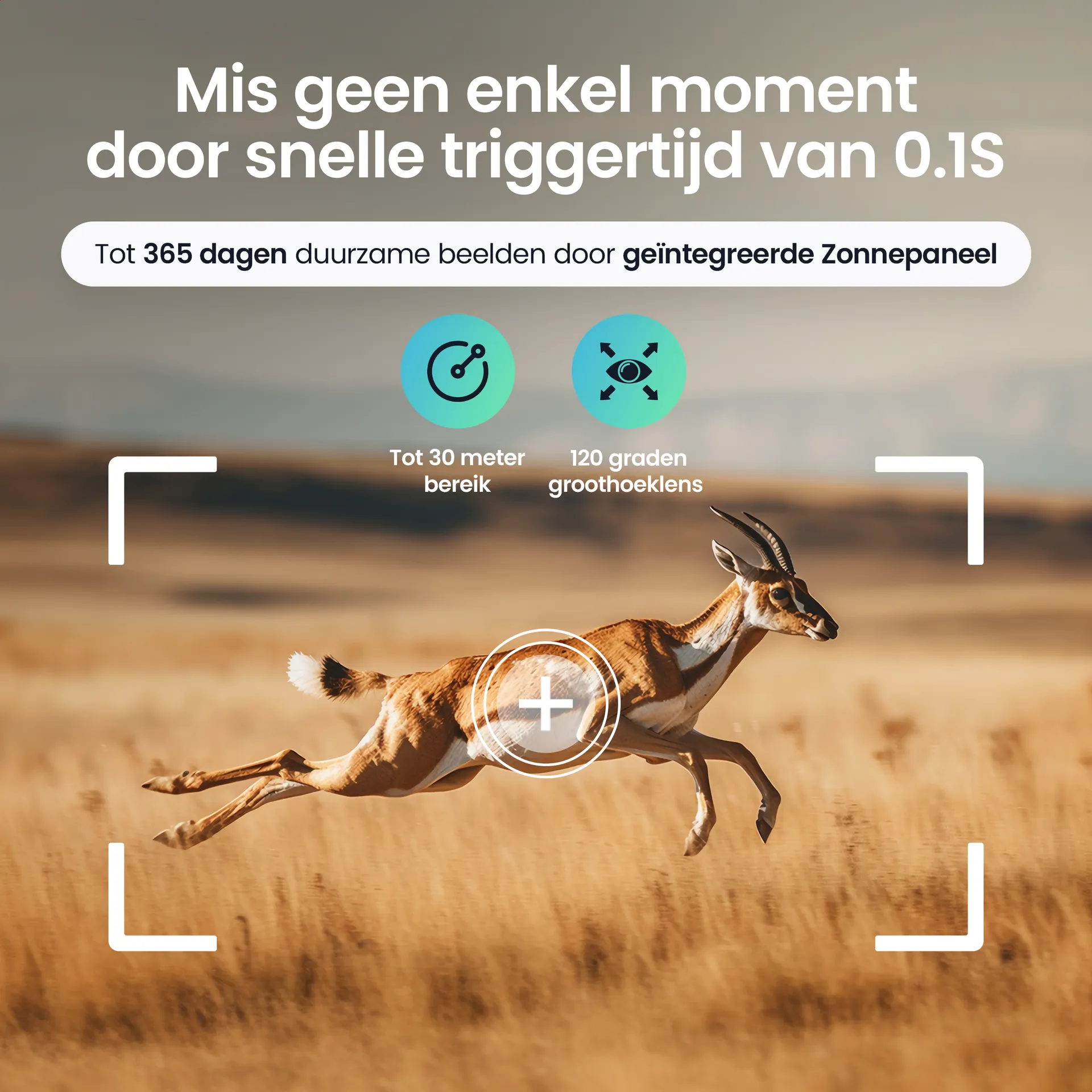 Protectly & Siltcon project — AF13