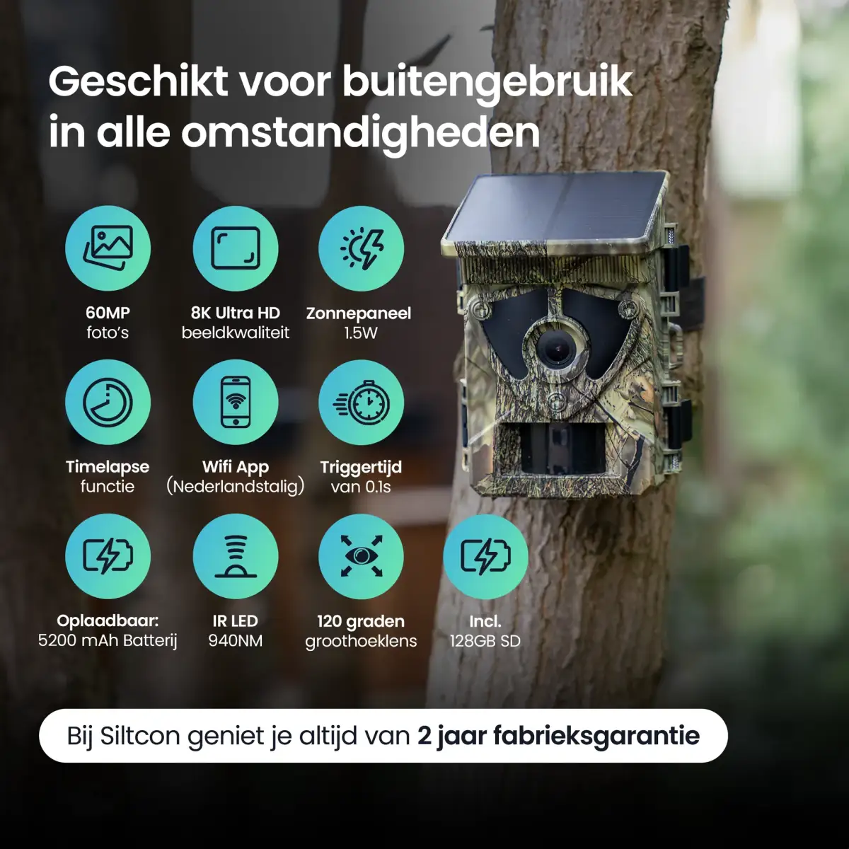 Protectly & Siltcon project — AF2