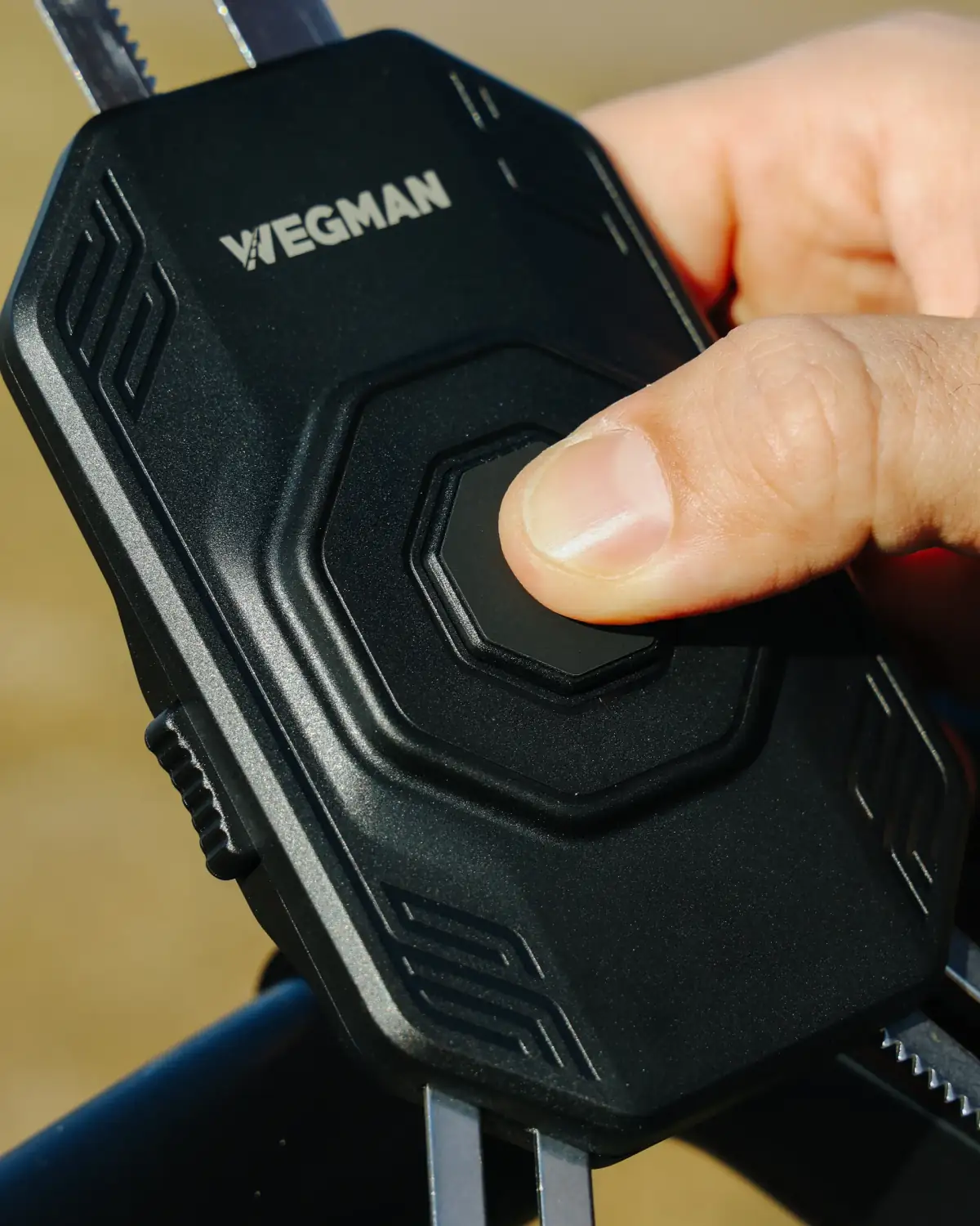Wegman project — CE9B9647